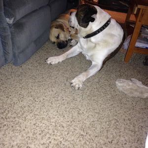 Meet your Posher, Matthew